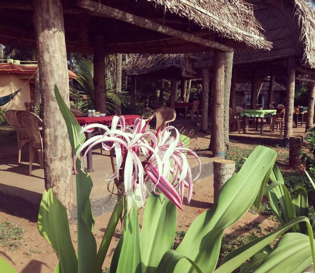 Sukriti Beach Resort Варкала Экстерьер фото